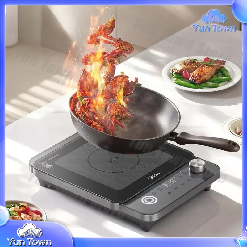Induktionskochfeld für den Hau – Induction Cooktop Portable Bewertung und Preis